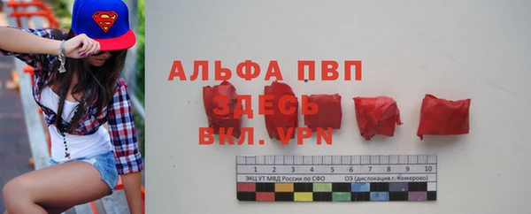 прущие грибы Кинешма