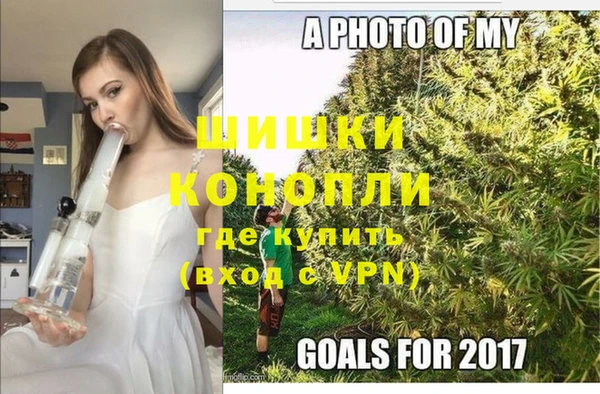 прущие грибы Кинешма