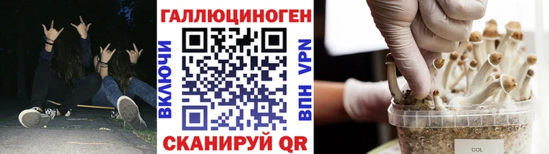 цены   МЕГА вход  Галлюциногенные грибы Psilocybine cubensis  Харабали 